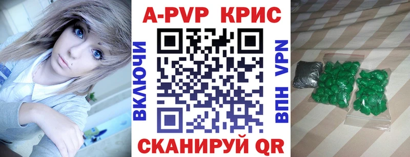Альфа ПВП СК КРИС  Курчалой 