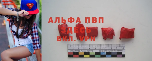 крисы Сосновый Бор
