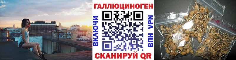 Псилоцибиновые грибы ЛСД как найти наркотики Курчалой
